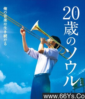 20������ķ���ͼ