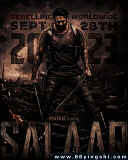 �������ķ���ͼ