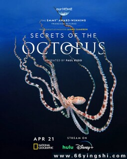 ��������ܵķ���ͼ