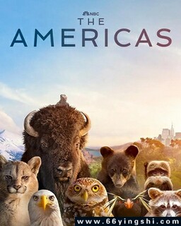 ���޴�½�ķ���ͼ