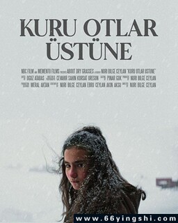 �ݲݵķ���ͼ