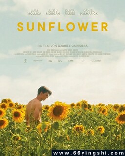 ���տ�2023�ķ���ͼ