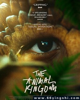 ���������ķ���ͼ