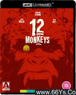 ʮ�����ӵķ���ͼ