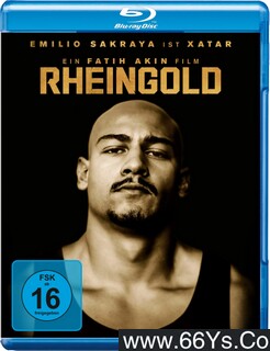 �����ķ���ͼ