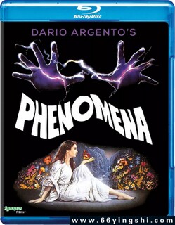 ��/����ķ���ͼ