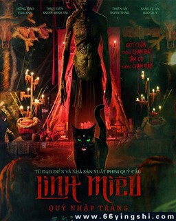 ��è�ķ���ͼ