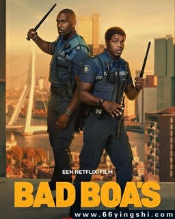 ��͹˫�۵ķ���ͼ