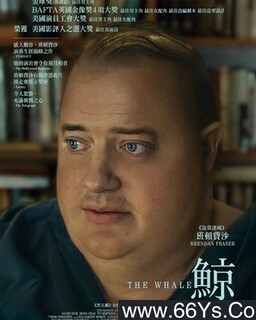 ���ķ���ͼ