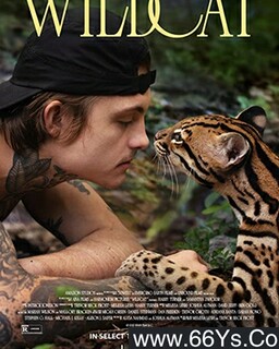 Ұè�ķ���ͼ