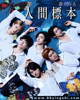 ����걾[ȫ��]�ķ���ͼ