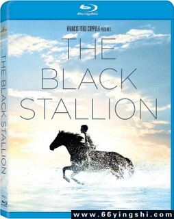 ����Եķ���ͼ