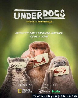 ʧ���ߵķ���ͼ