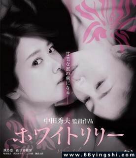 �װٺϵķ���ͼ