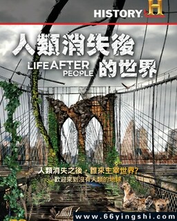 ������ʧ�������ķ���ͼ