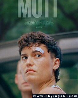 �����ķ���ͼ