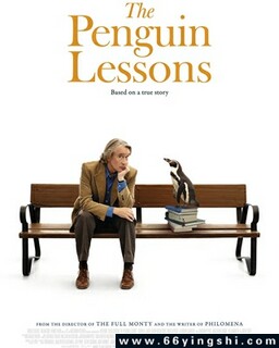 �ҵ������ʦ�ķ���ͼ