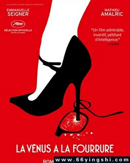 ����Ƥ��ά��˹[����]�ķ���ͼ