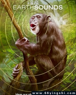 ����֮���ķ���ͼ