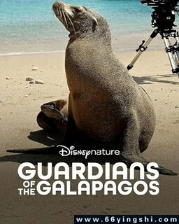 ��������˹Ⱥ�����ػ��ߵķ���ͼ