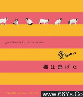 ���ܰ��ķ���ͼ