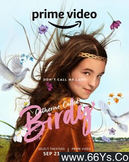 С��ɪ�յķ���ͼ