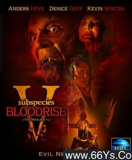 ����5��Ѫ��ķ���ͼ