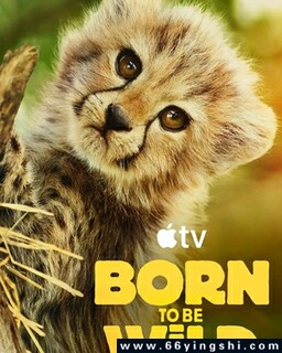 ������Ұ�ķ���ͼ