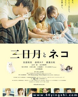 ��������è�ķ���ͼ