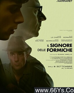 �����ķ���ͼ