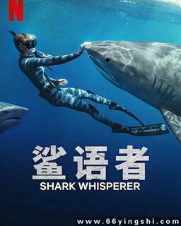 �����ߵķ���ͼ